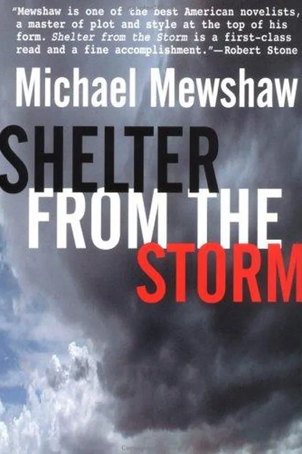 Capa de Shelter from the storm