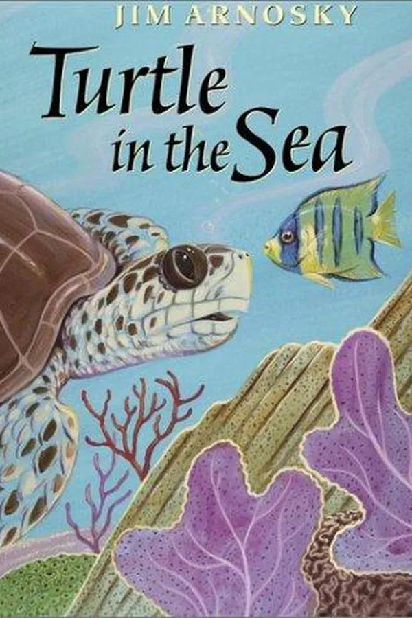 Capa de Turtle in the sea