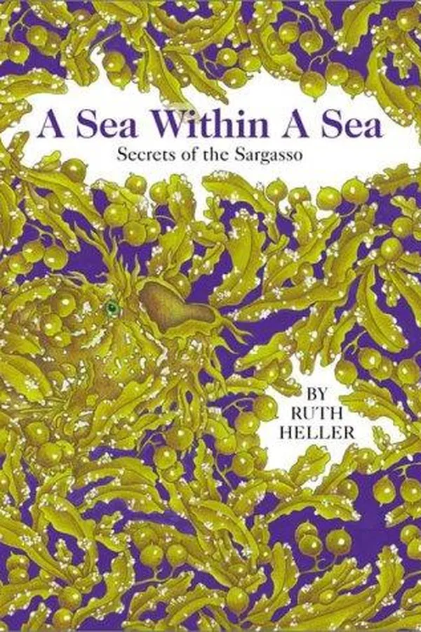 Capa de A Sea within a Sea