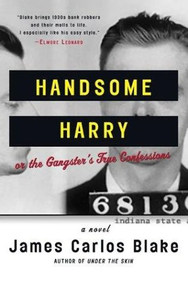 Capa de Handsome Harry, or, The gangster's true confessions