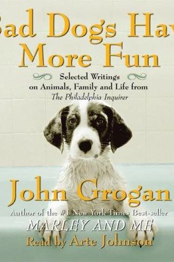 Capa de Bad Dogs Have More Fun
