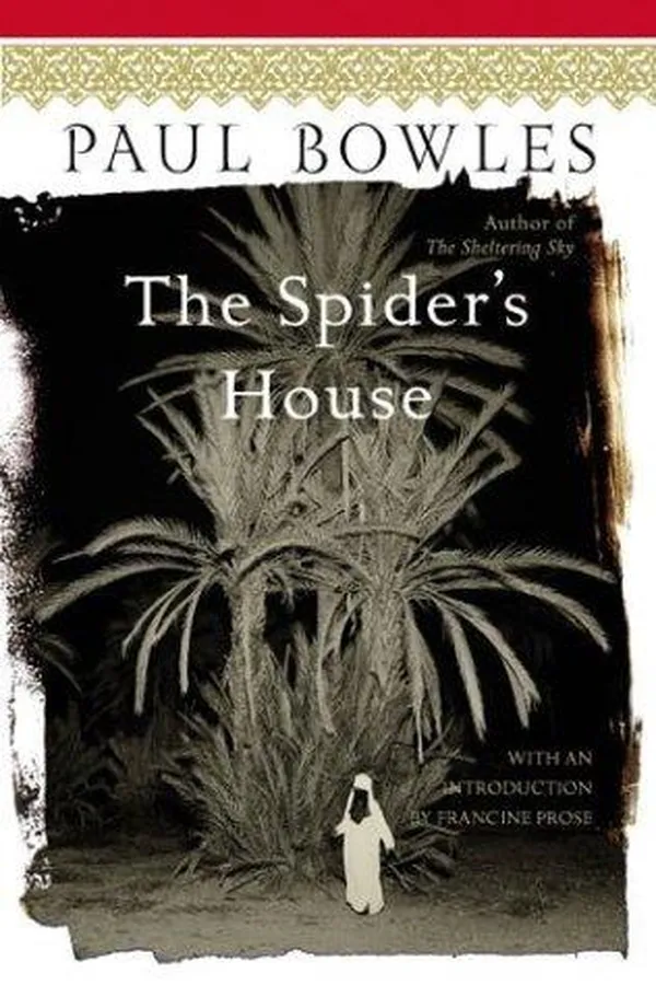 Capa de The Spider's House