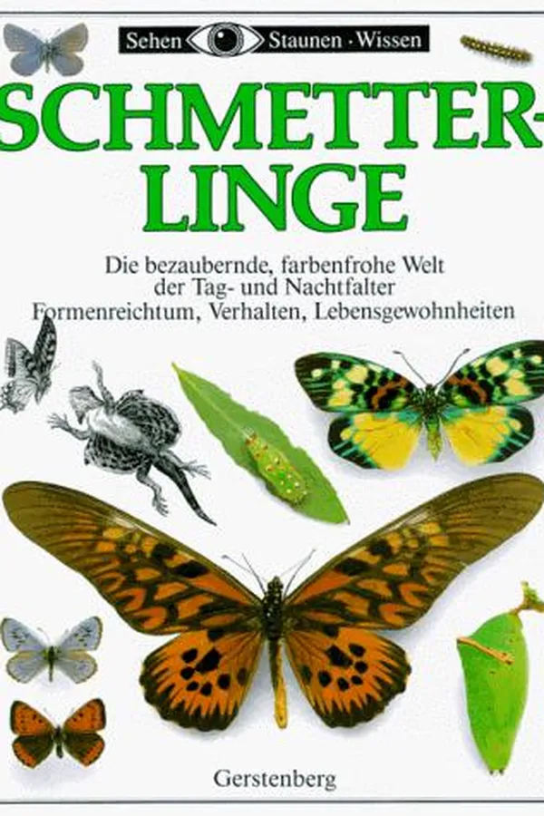 Capa de Butterfly & Moth