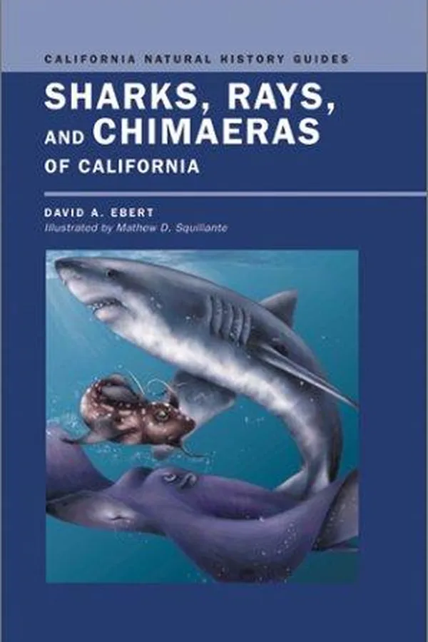 Capa de Sharks, Rays, and Chimaeras of California (California Natural History Guides)