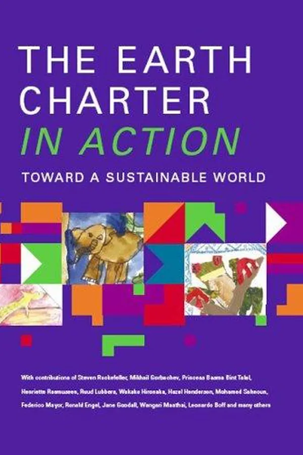 Capa de The earth charter in action
