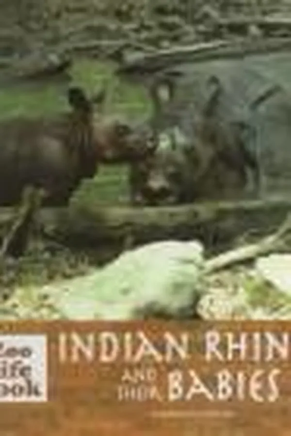 Capa de Indian rhinos and their babies