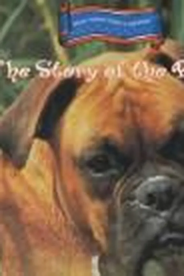 Capa de The story of the boxer