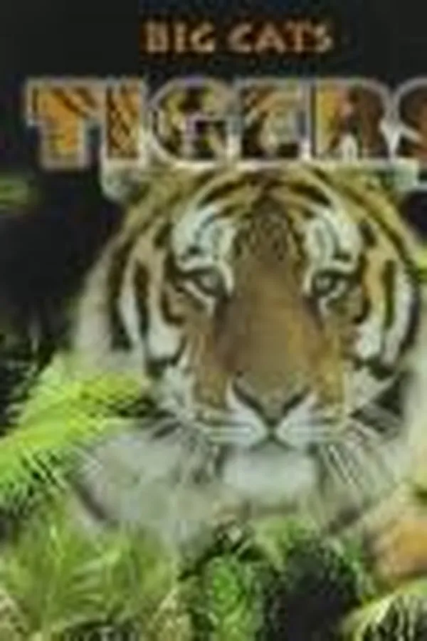 Capa de Tigers