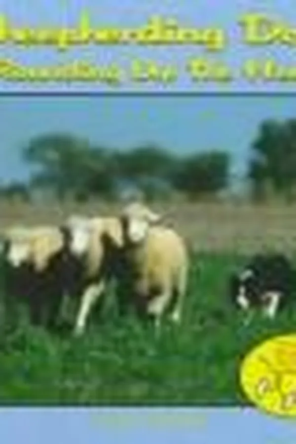 Capa de Sheepherding Dogs: Rounding Up the Herd (Dogs Helping People)