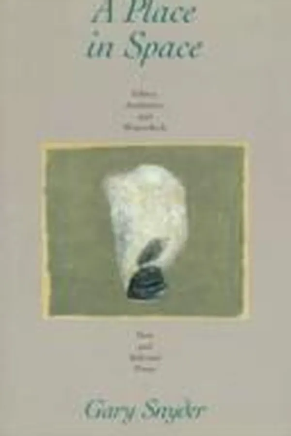 Capa de A place in space