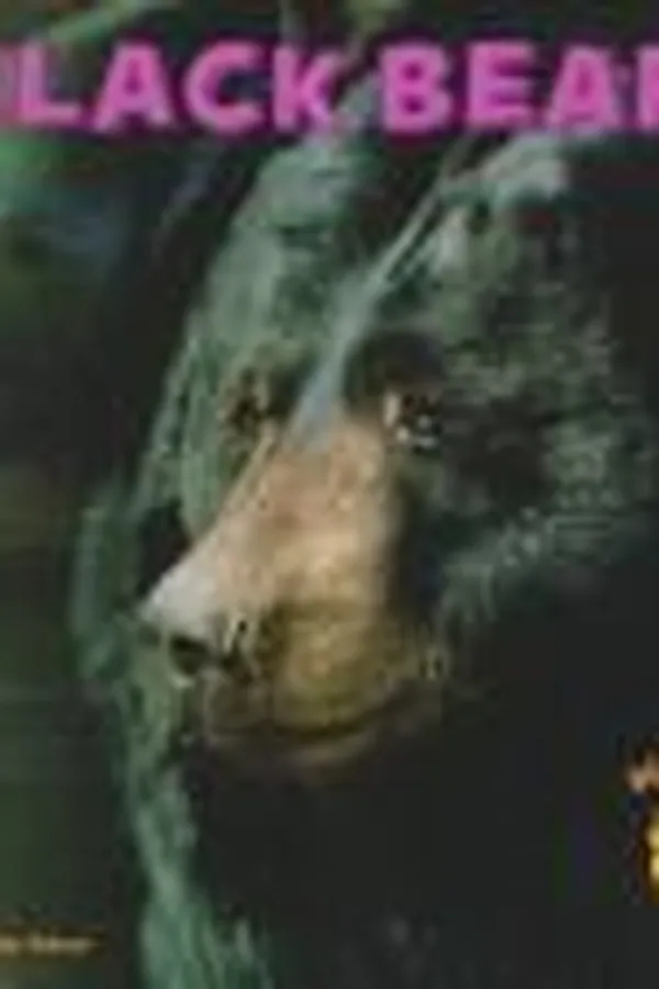 Capa de Black bears