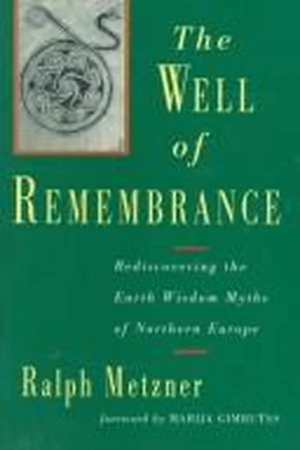 Capa de The well of remembrance