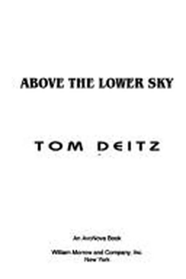 Capa de Above the lower sky