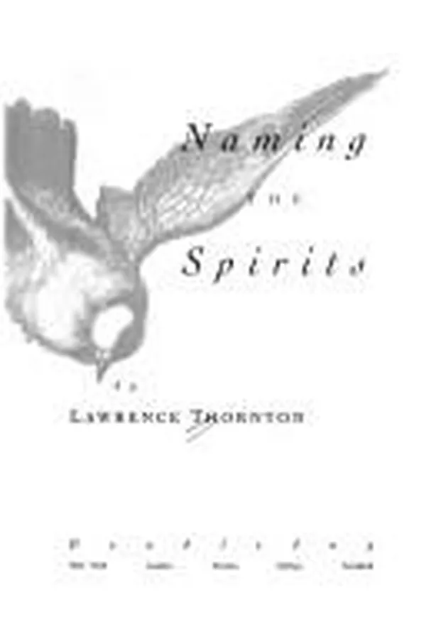 Capa de Naming the spirits