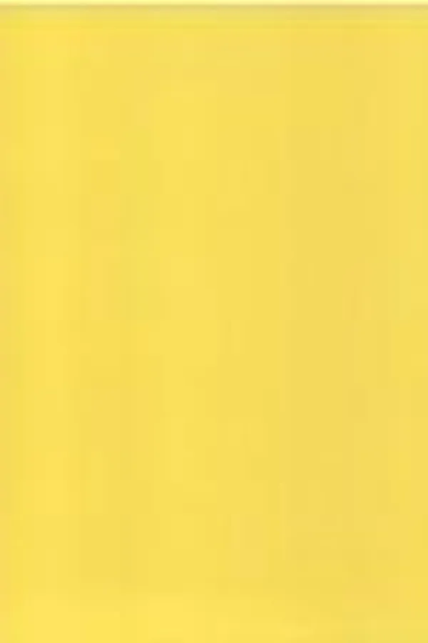 Capa de Lemon whip