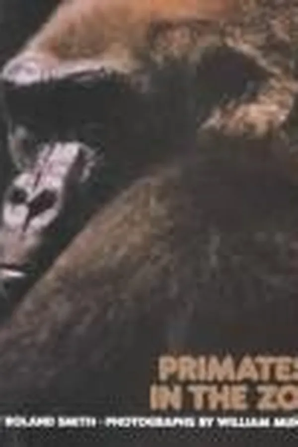 Capa de Primates in the zoo