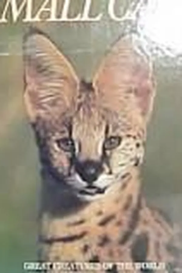 Cover of Small cats