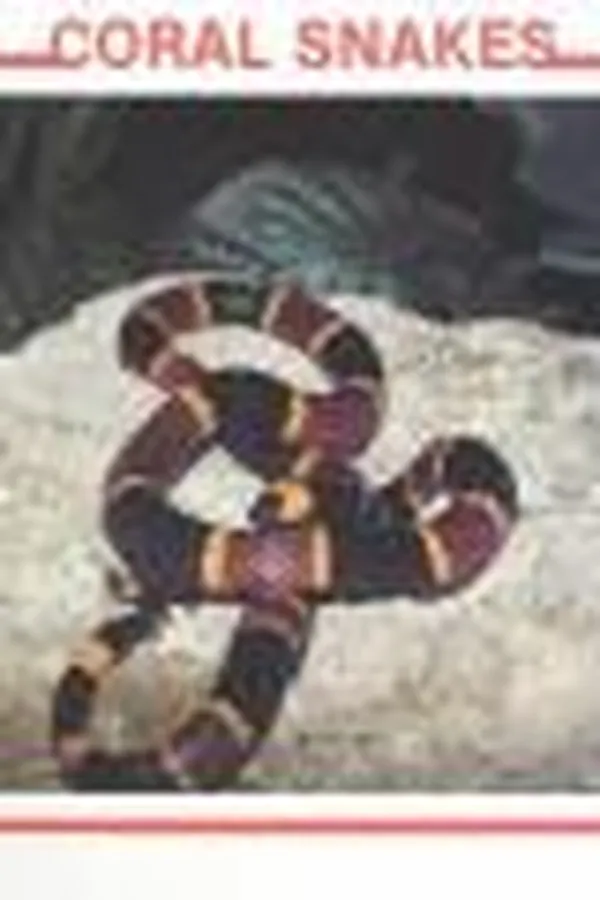 Capa de Coral snakes