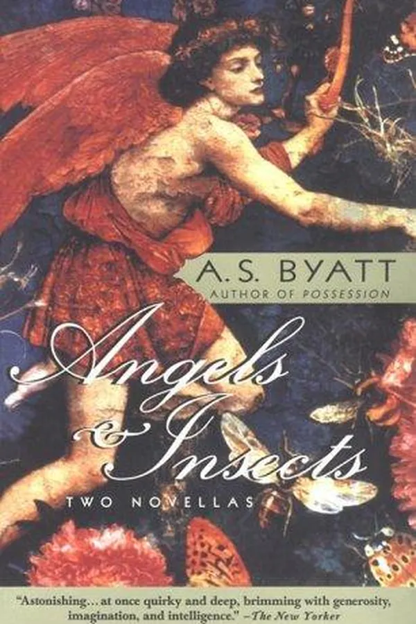 Capa de Angels & insects
