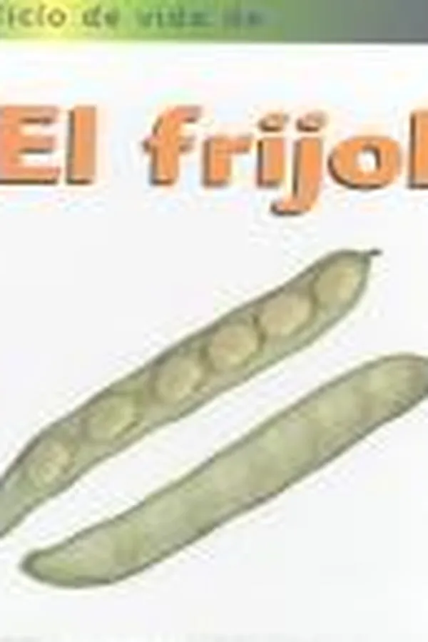 Capa de Life cycle of a bean