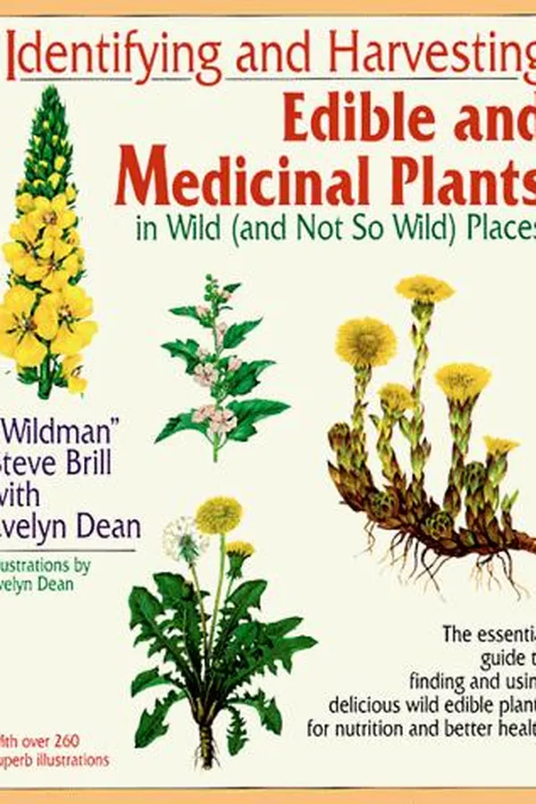 Capa de Identifying and harvesting edible and medicinal plants in wild (and not so wild) places