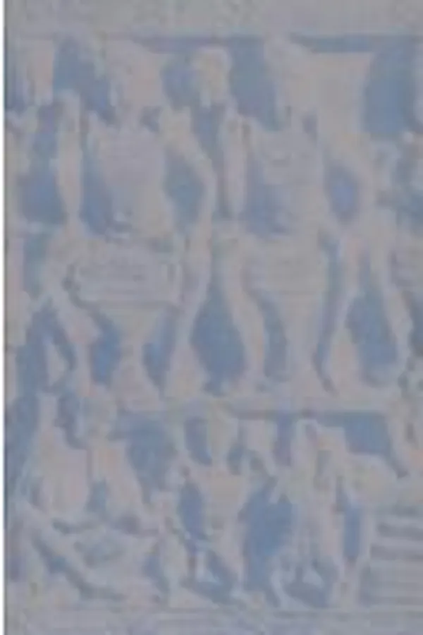 Capa de Fādara Kāmila Bulke