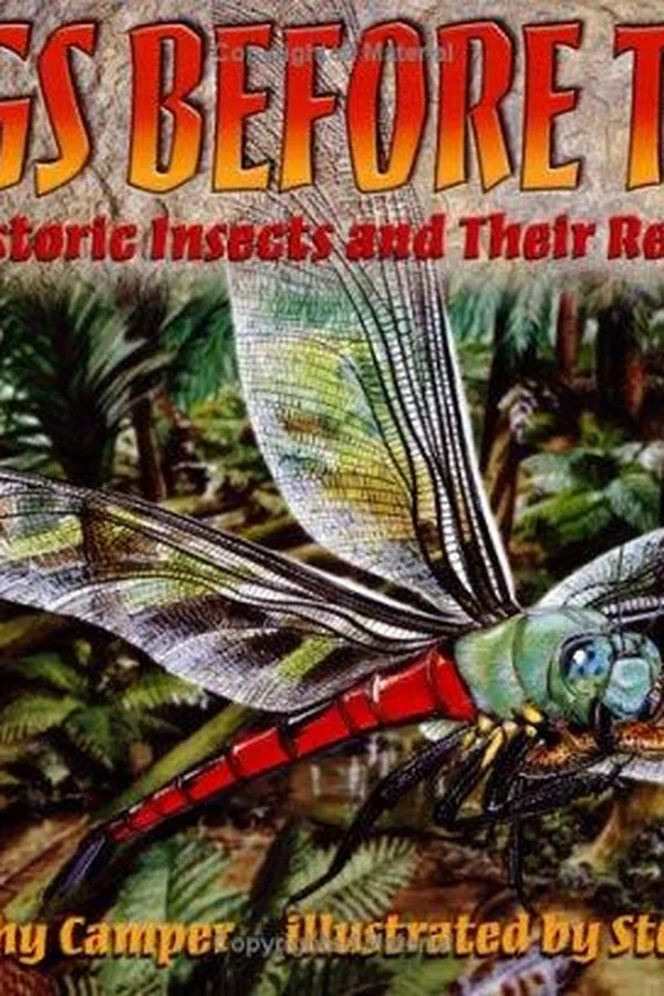 Capa de Bugs before time