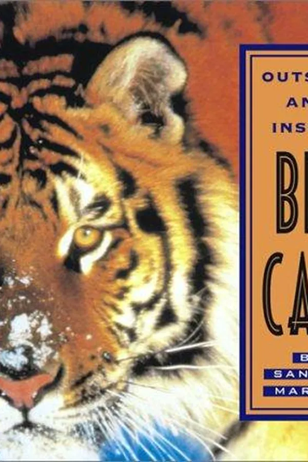Cover of Outside and Inside Big Cats