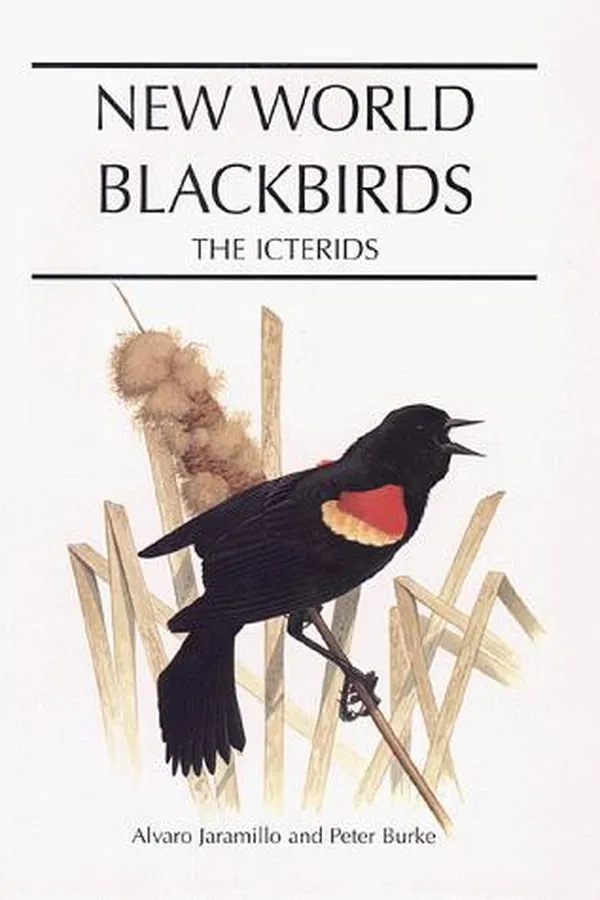 Capa de New world blackbirds