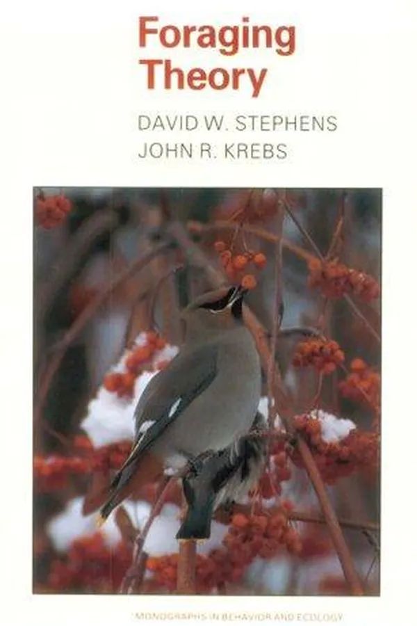 Capa de Foraging theory