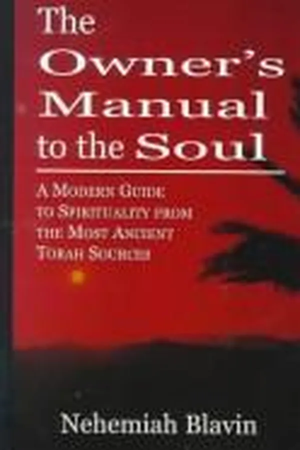Capa de The Owner's Manual to the Soul