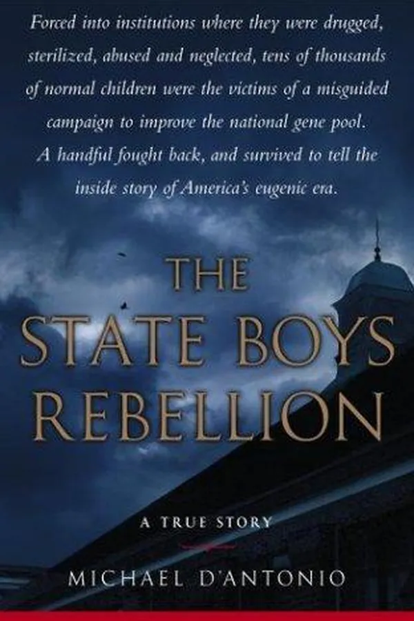 Capa de The state boys rebellion