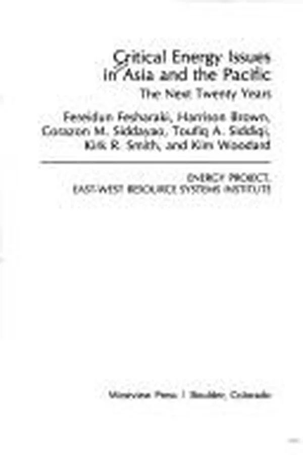 Capa de Critical Energy Issues in Asia and the Pacific Region (Westview Special Study)