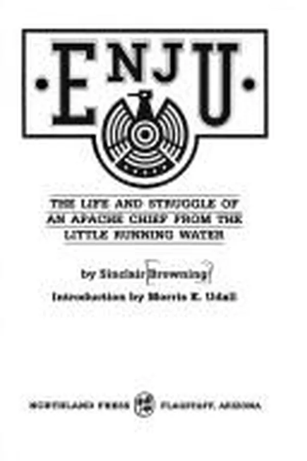 Capa de Enju
