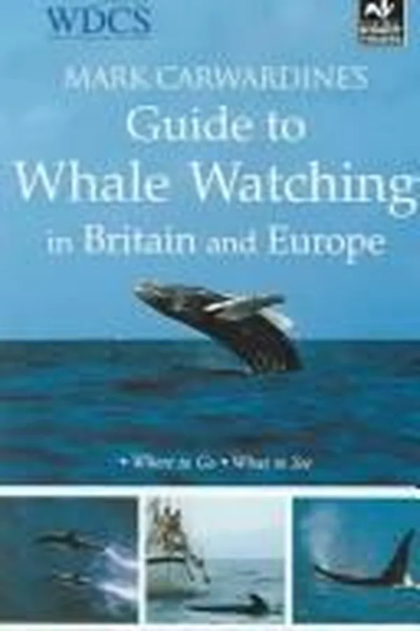 Capa de Where to go, what to see