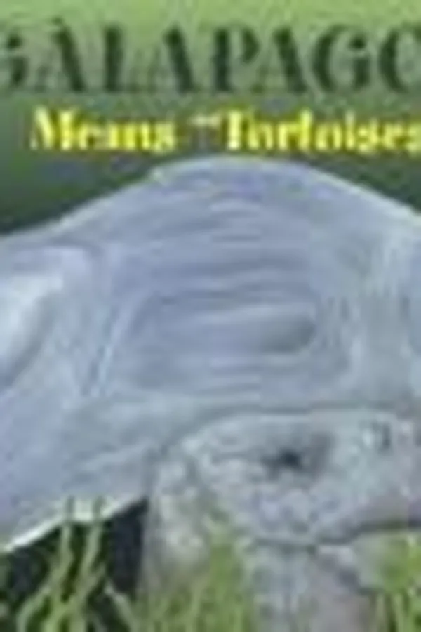 Capa de Galapagos Means Tortoise