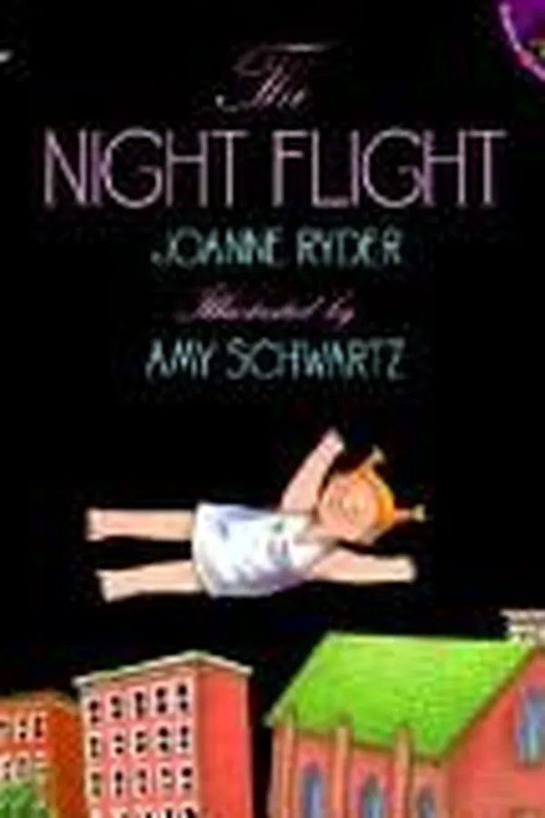 Capa de The night flight