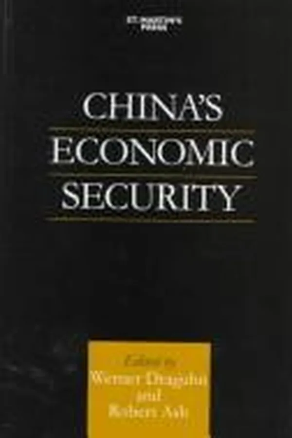 Cover of China's economic security