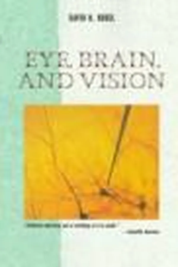 Capa de Eye, brain, and vision