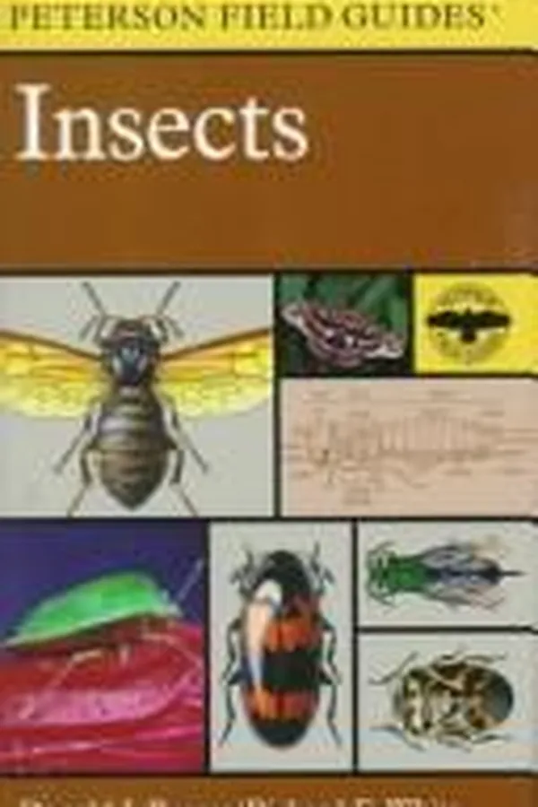 Capa de A field guide to insects, America north of Mexico
