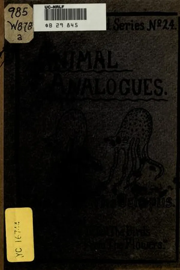 Capa de Animal Analogues