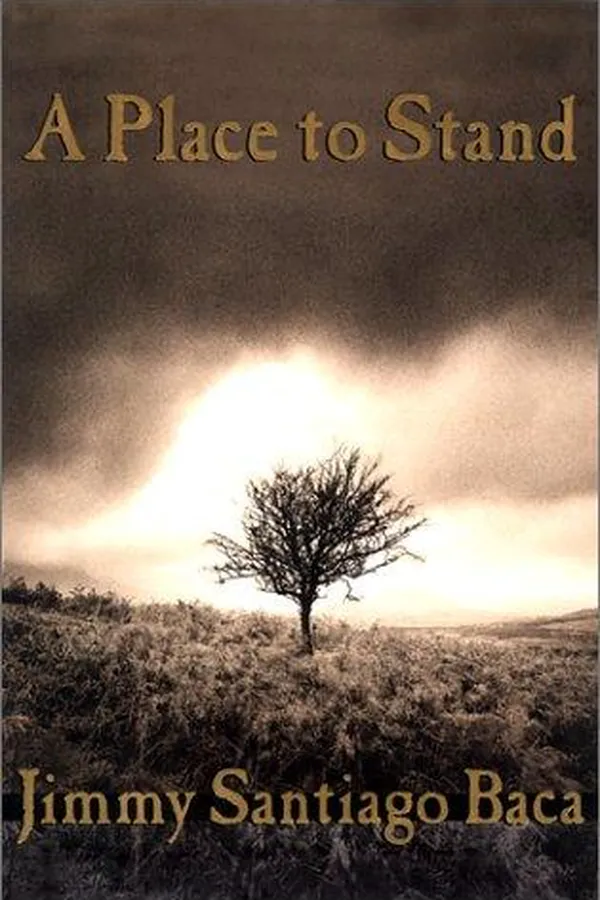 Capa de A place to stand