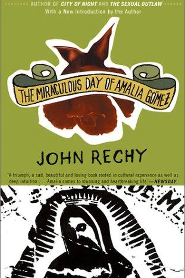 Capa de The miraculous day of Amalia Gómez