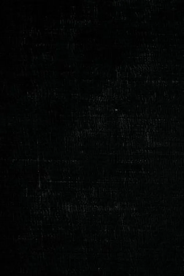 Capa de The New England poets