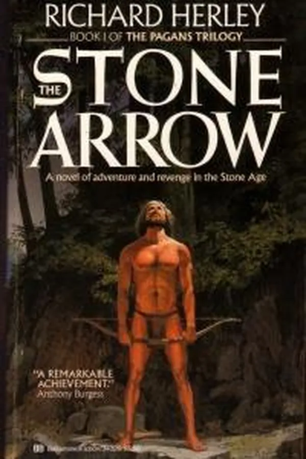 Capa de The stone arrow