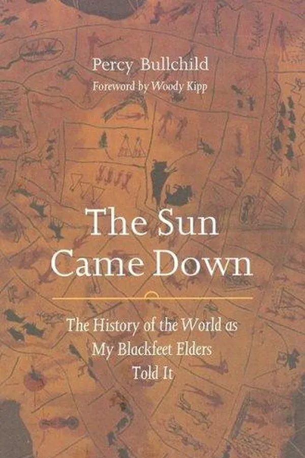 Capa de The Sun Came Down