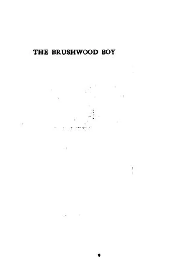 Capa de The  brushwood boy