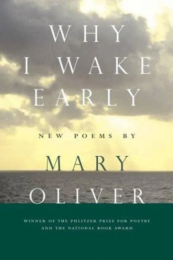 Capa de Why I Wake Early