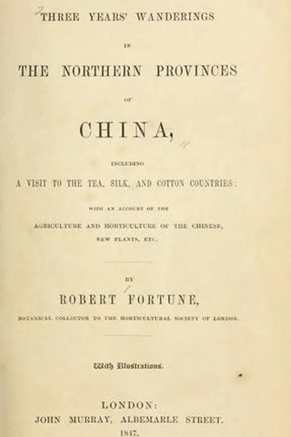 Capa de Three years' wanderings in the northern provinces of China