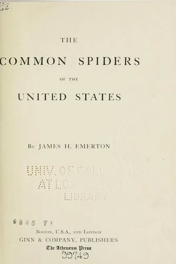 Capa de The common spiders of the United States